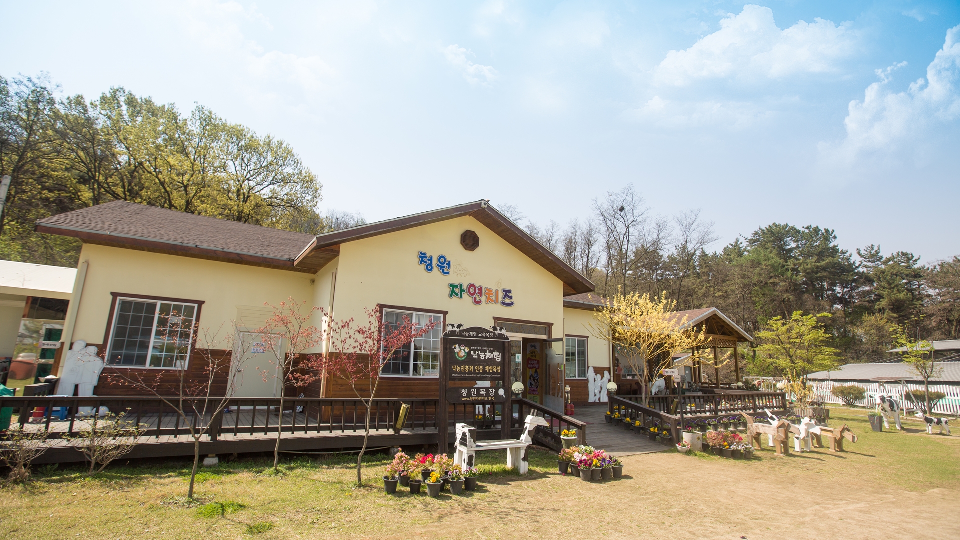 top_banner